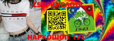 крисы Брянск