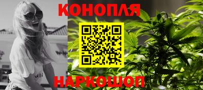 гашик Бузулук
