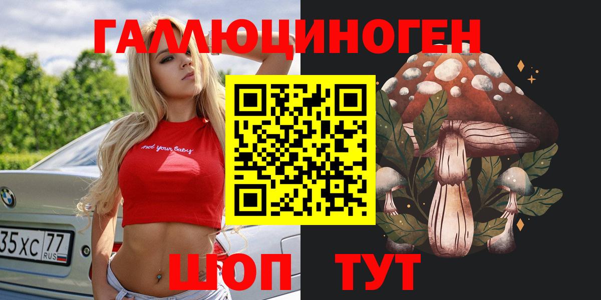 Псилоцибиновые грибы мицелий Богородицк